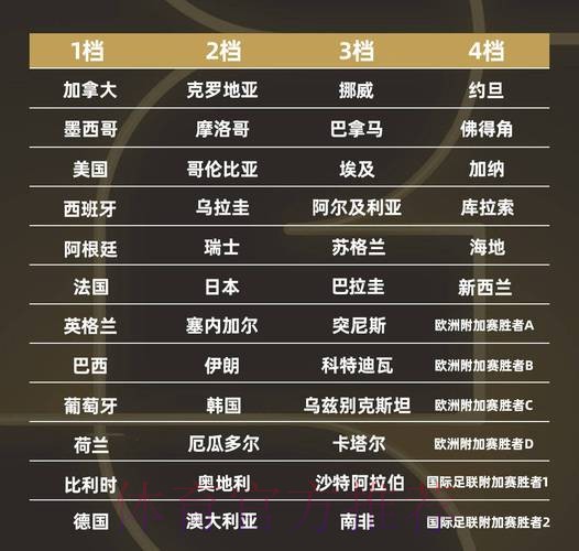 世界杯强队排名完整版