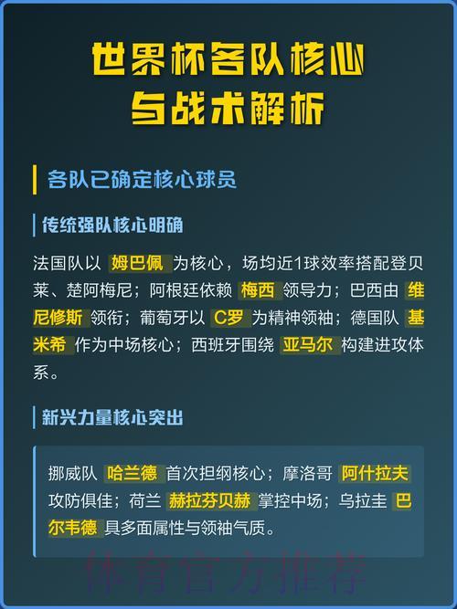 世界杯战术深度解析