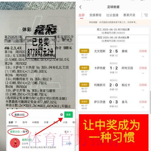 世界杯竞猜平台的潜在风险与收益深度解析